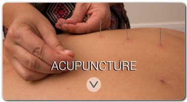_en_acupuncture_satori_vitae