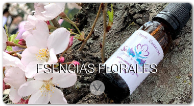 flower_essences_1-satori_vitae