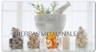 herbal_therapy-1_satori_vitae