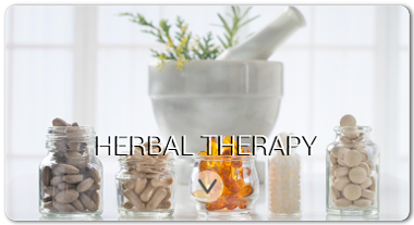 herbal_therapy_satori_vitae_en