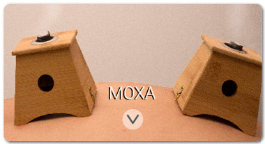 treatments_moxibustion_satori_vitae-es