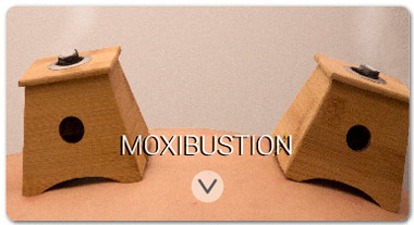 treatments_moxibustion_satori_vitae